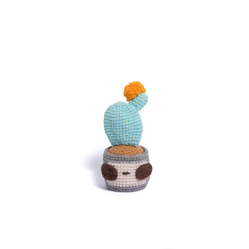 Handmade Crochet Cactus Family Collection Five New Friends