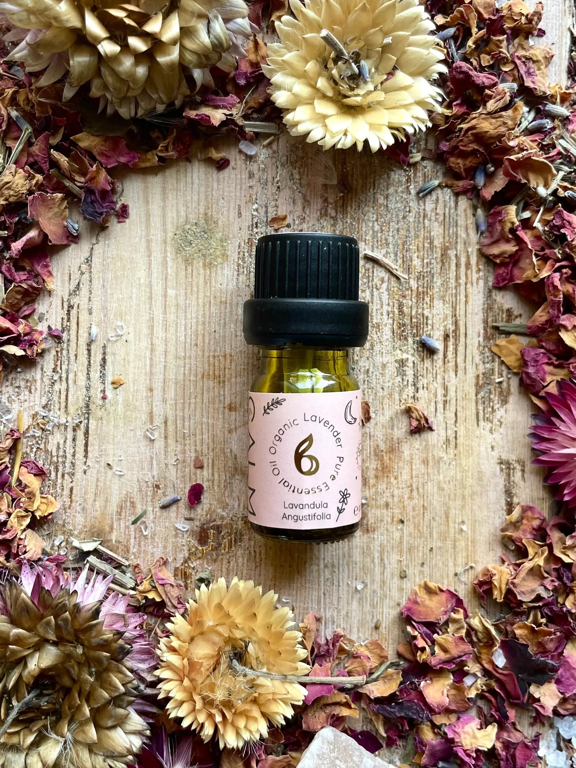 Organic Lavender Essential Oil from Provence