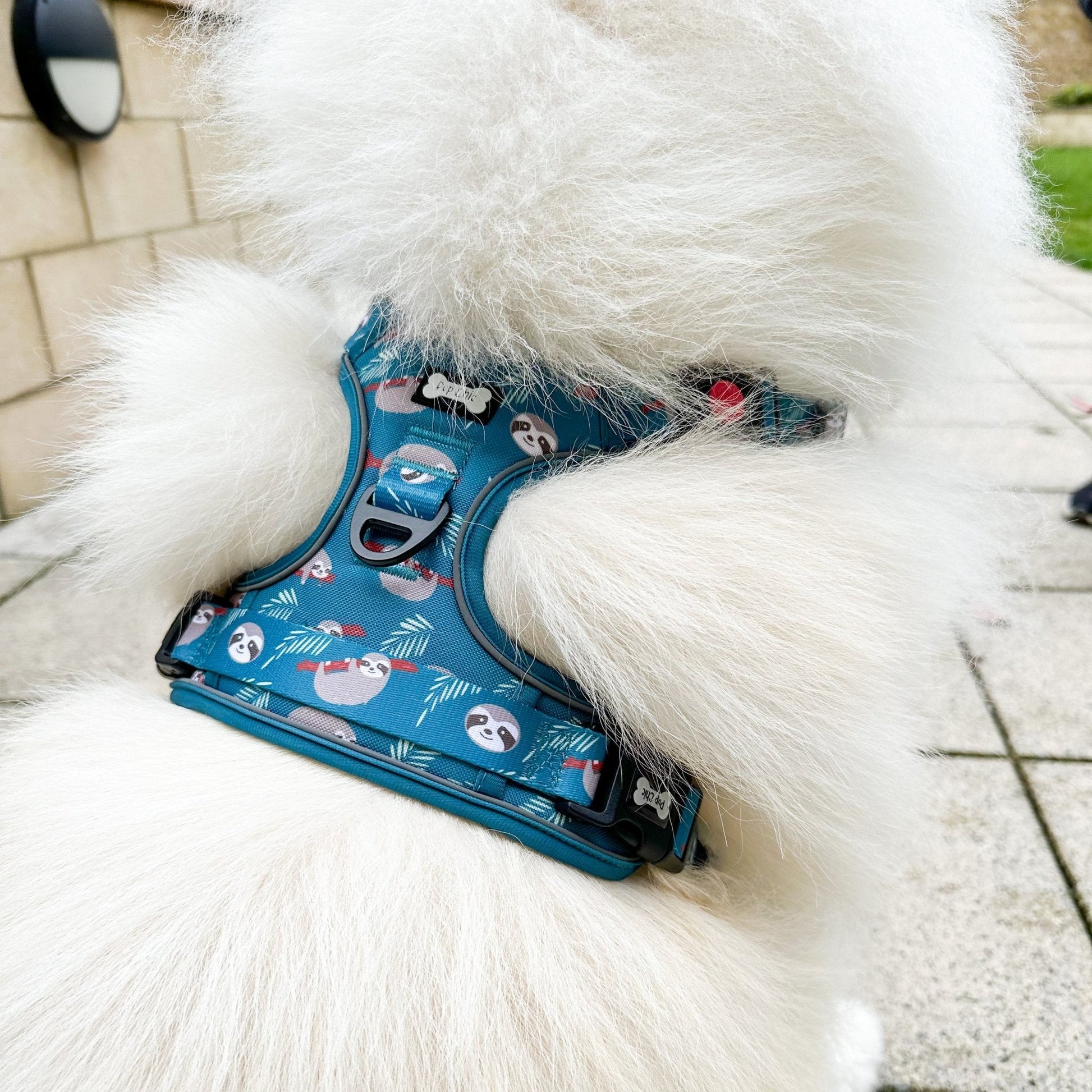 Lazy Sloth Tactical Dog Harness in Mint Green