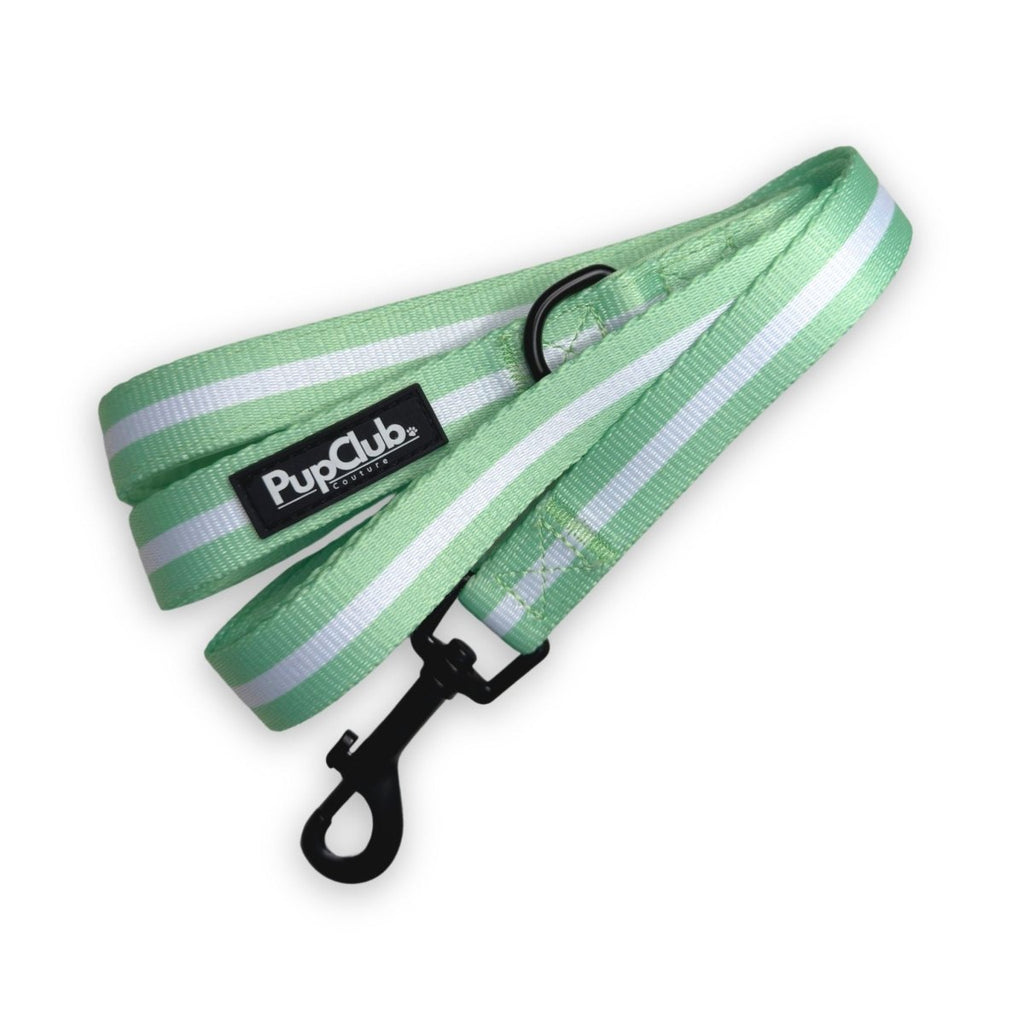 Pastel Green Lead for Dogs