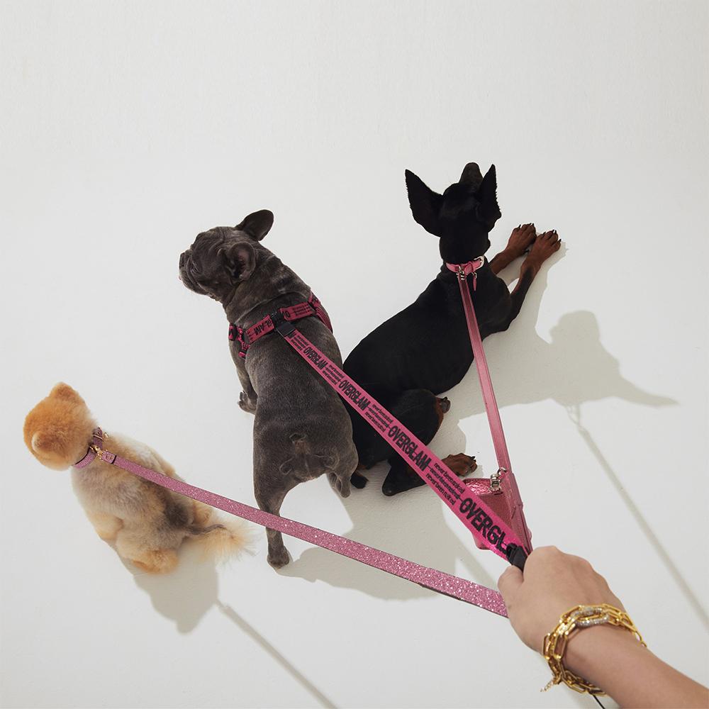 Gloss Lead in Rose and Silver