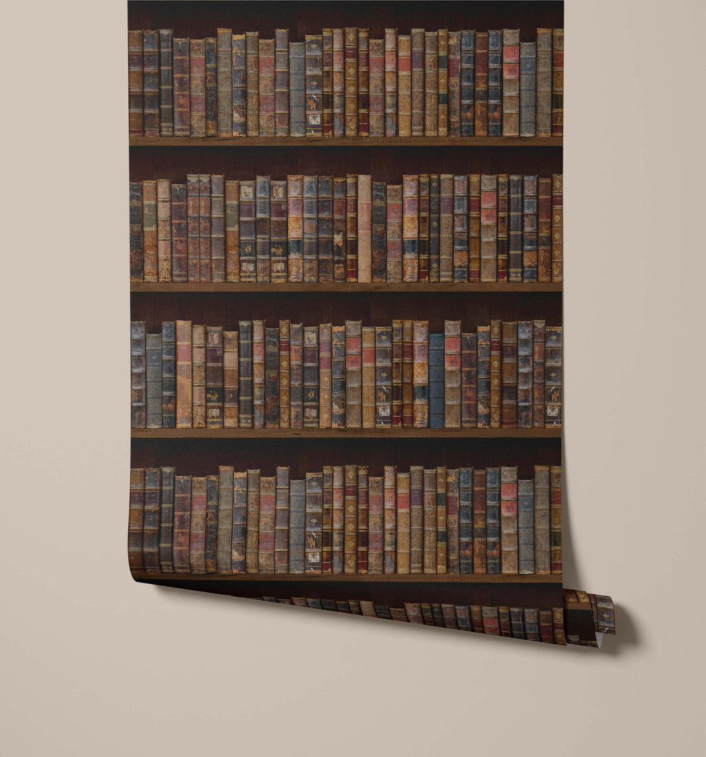Bookcase Wallpaper Libre