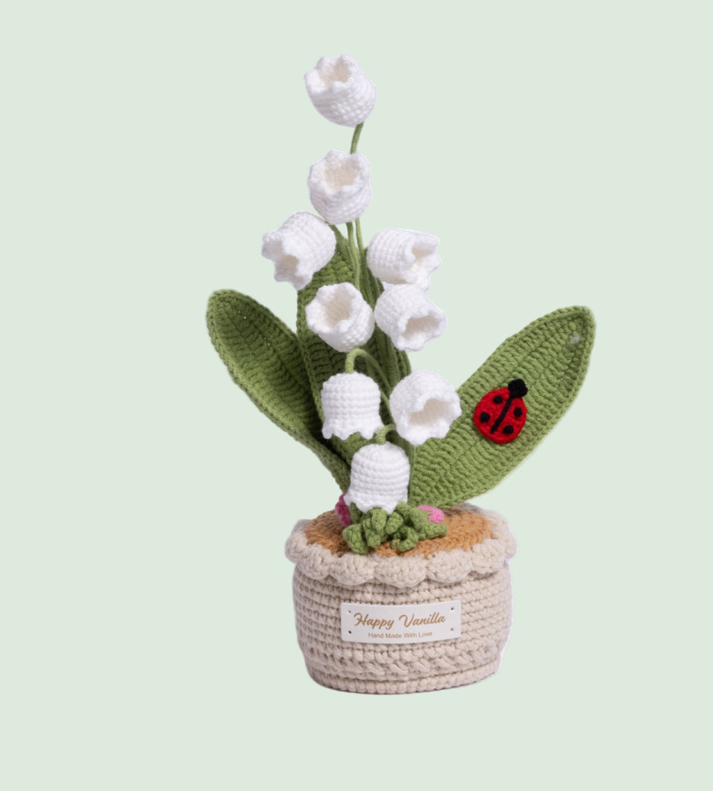 XXL Pot Plants Larger Size Bigger Smile