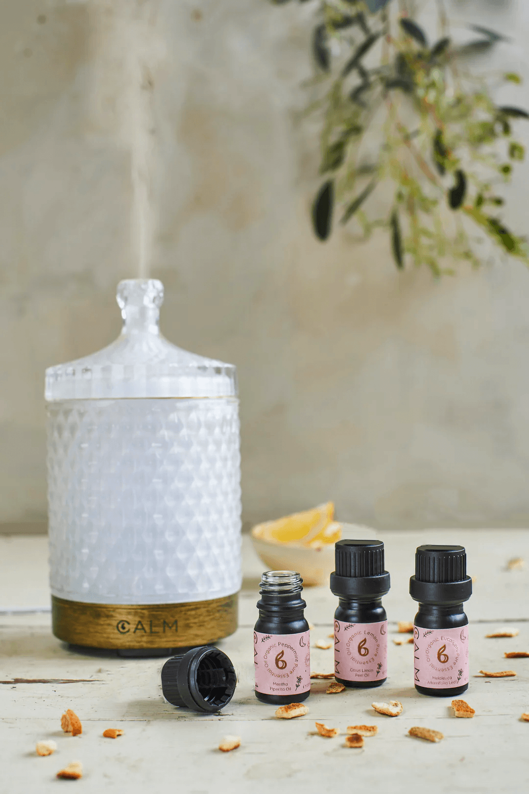 Geo Cut Glass Aroma Diffuser with Live Calm Essential Oil Set