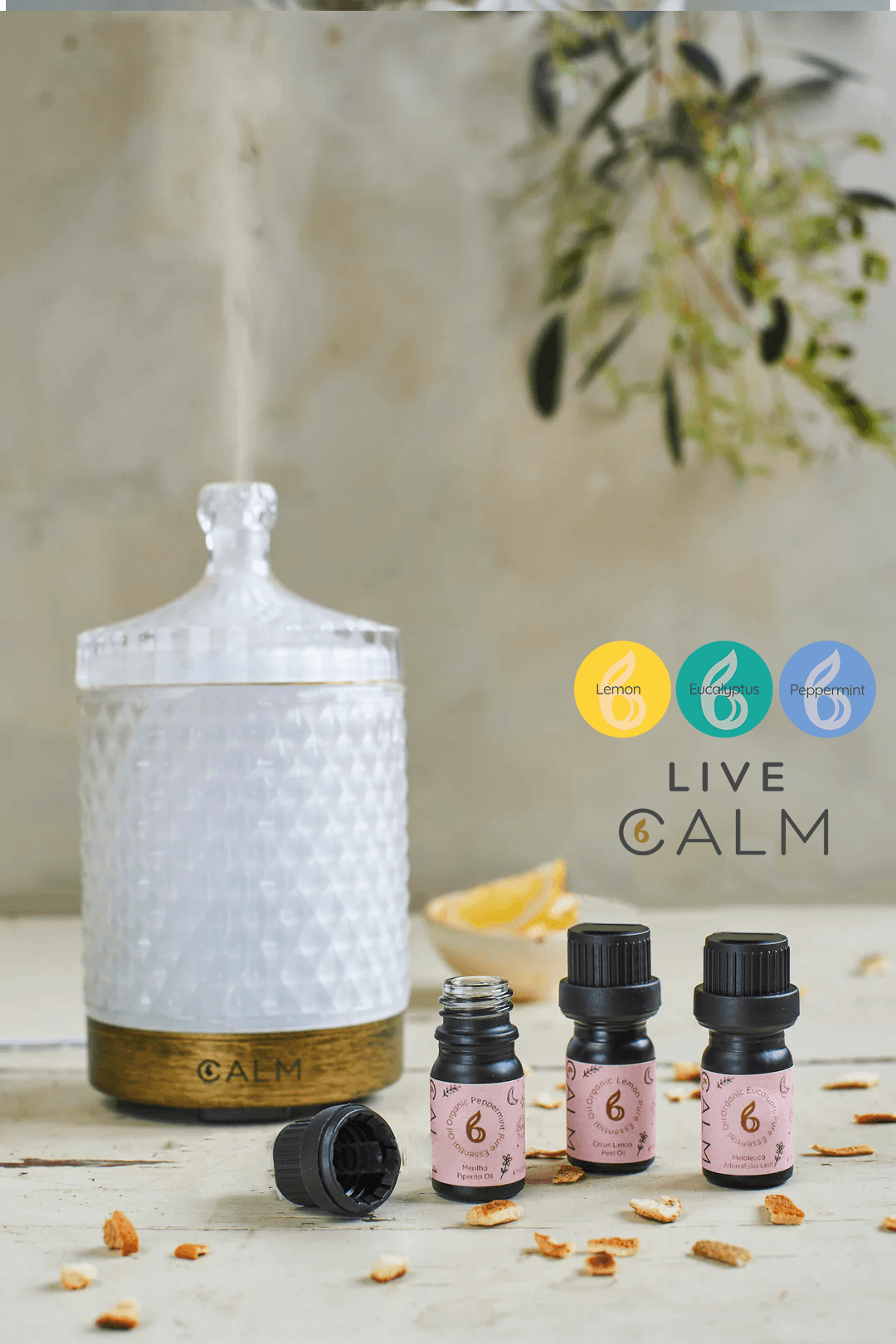 Geo Cut Glass Aroma Diffuser with Live Calm Essential Oil Set