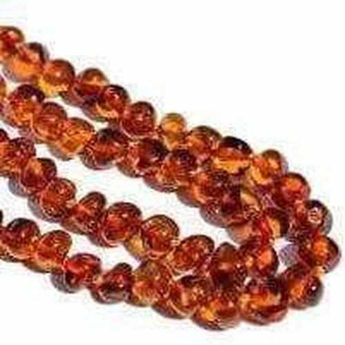 Adult Brandy Snap Cognac Baltic Amber Necklace