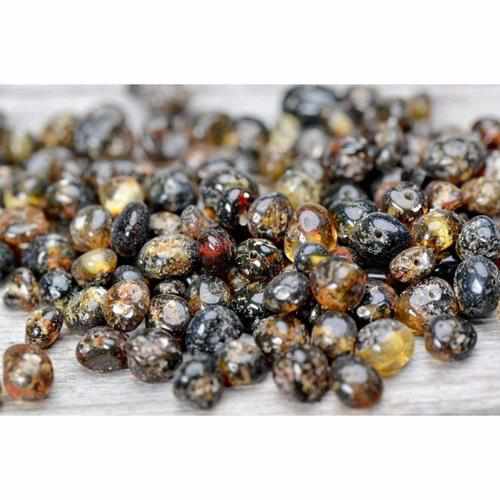 Adult Evergreen Green Baltic Amber Stretch Bracelet