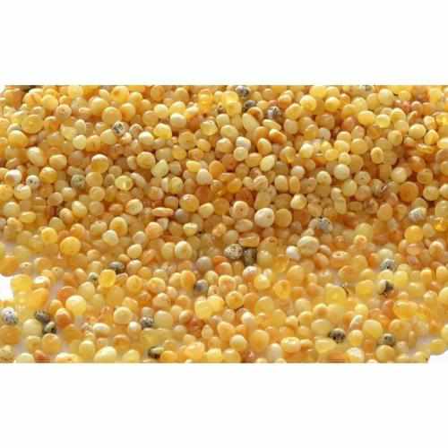 Child Butterscotch Baltic Amber Polished Anklet Bracelet