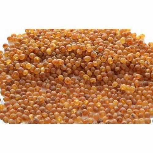 Child Bee's Knees Raw Honey Baltic Amber Anklet Bracelet