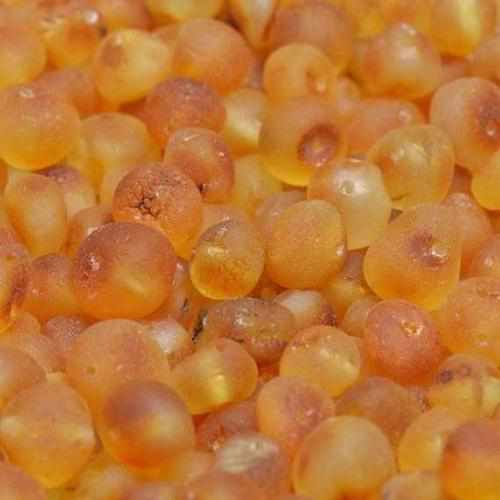 Child Bees Knees Raw Honey Baltic Amber Necklace