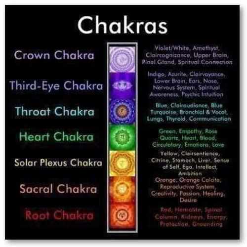 Child Chakra Gemstone Polished Cognac Baltic Amber Anklet Bracelet