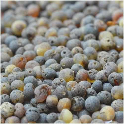 Child Enchanted Raw Green Baltic Amber Necklace