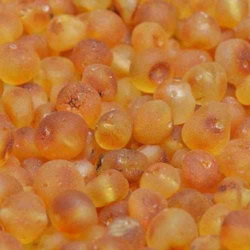 Raw Honey Pink Dragon Agate Baltic Amber Anklet Bracelet