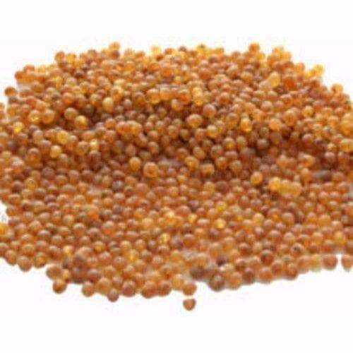 Girls Nurture Raw Honey Pink Agate Baltic Amber Bead Necklace