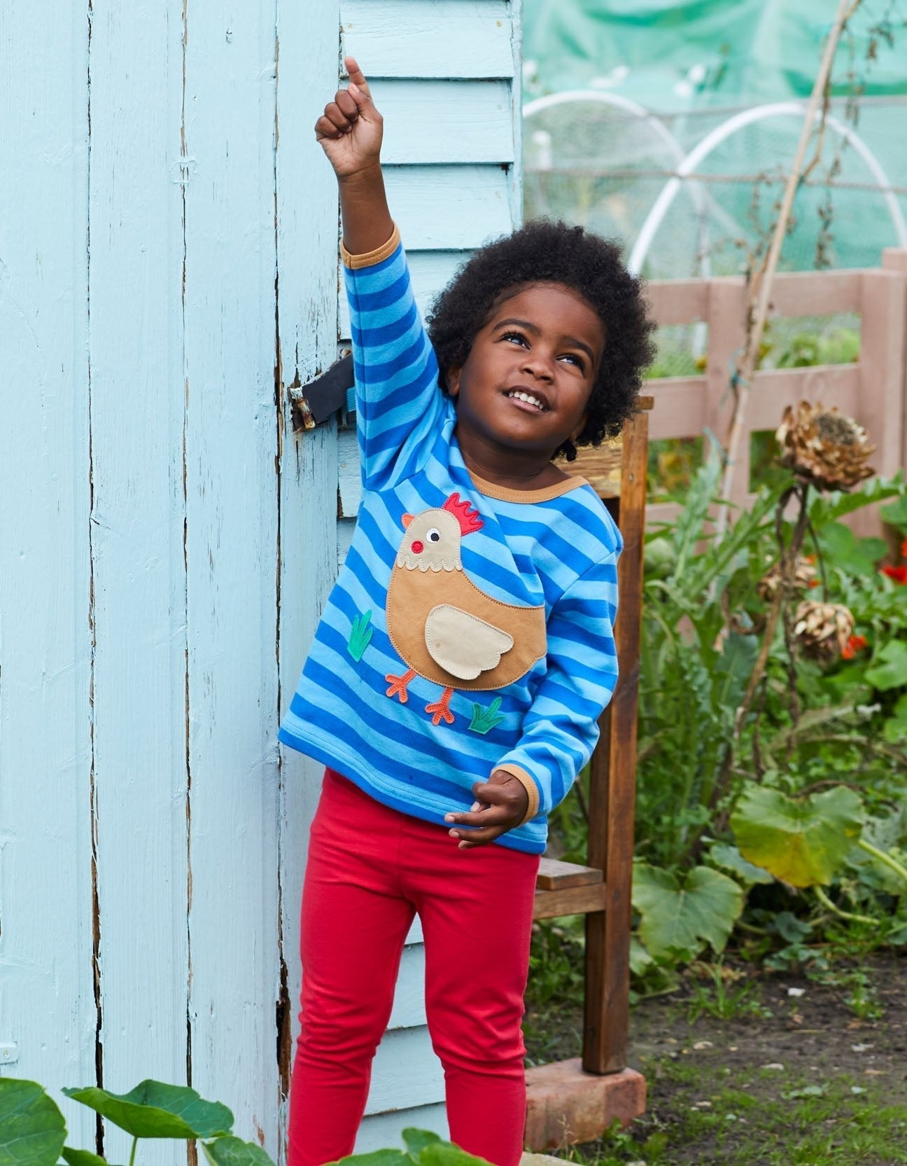 Organic Clucky Chicken Applique Long Sleeved T Shirt