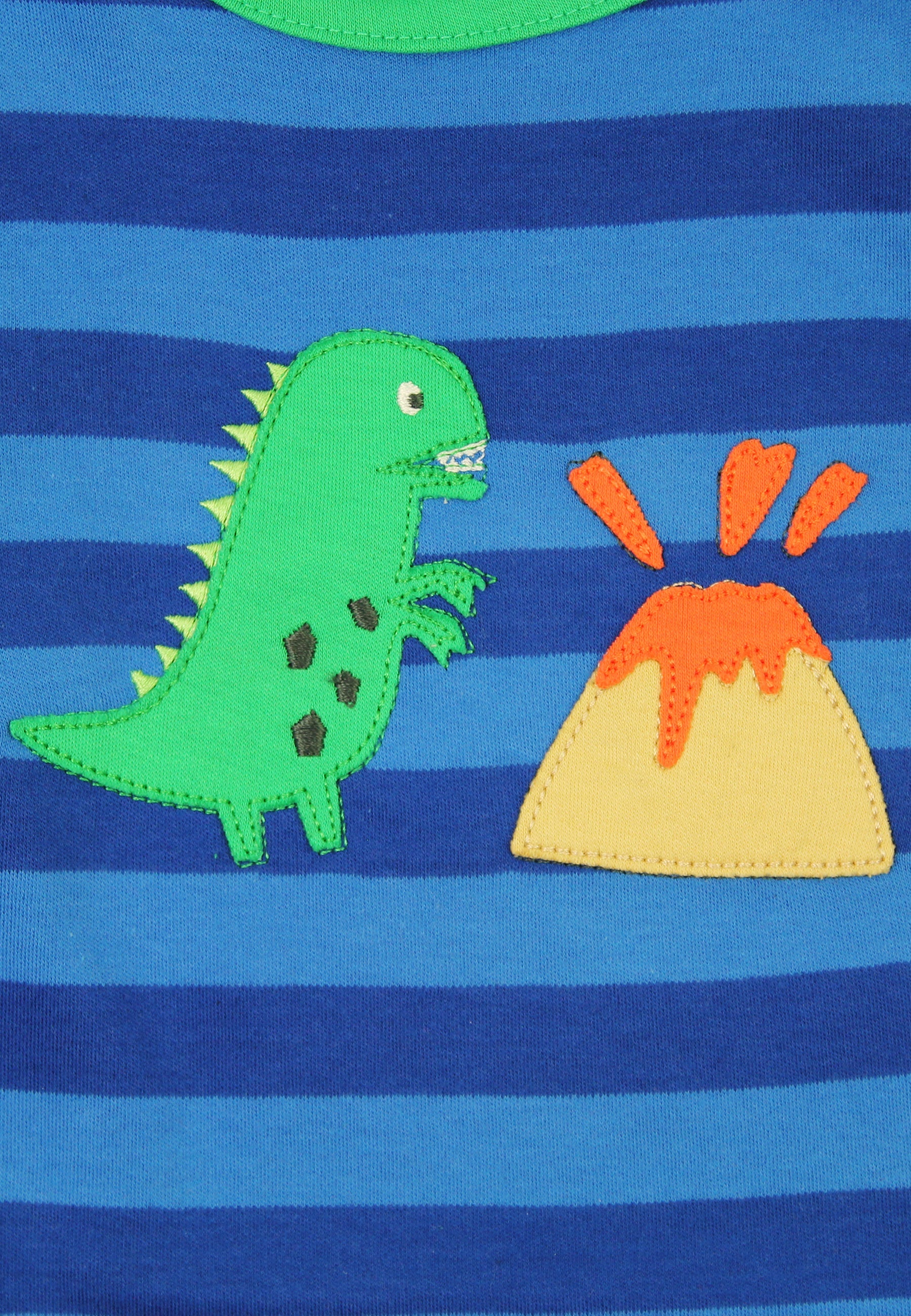 Organic Blue Tonal Dinosaur Applique Long Sleeved T Shirt