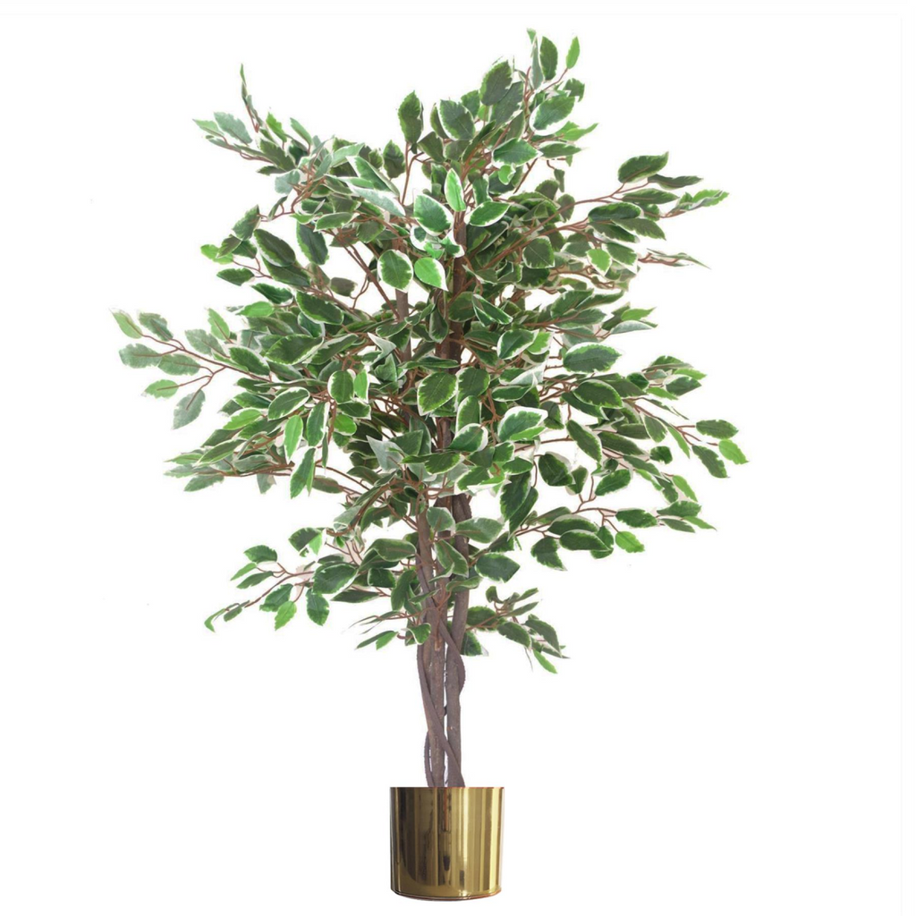130cm Realistic White Edge Ficus Artificial Plant with Gold Metal Planter
