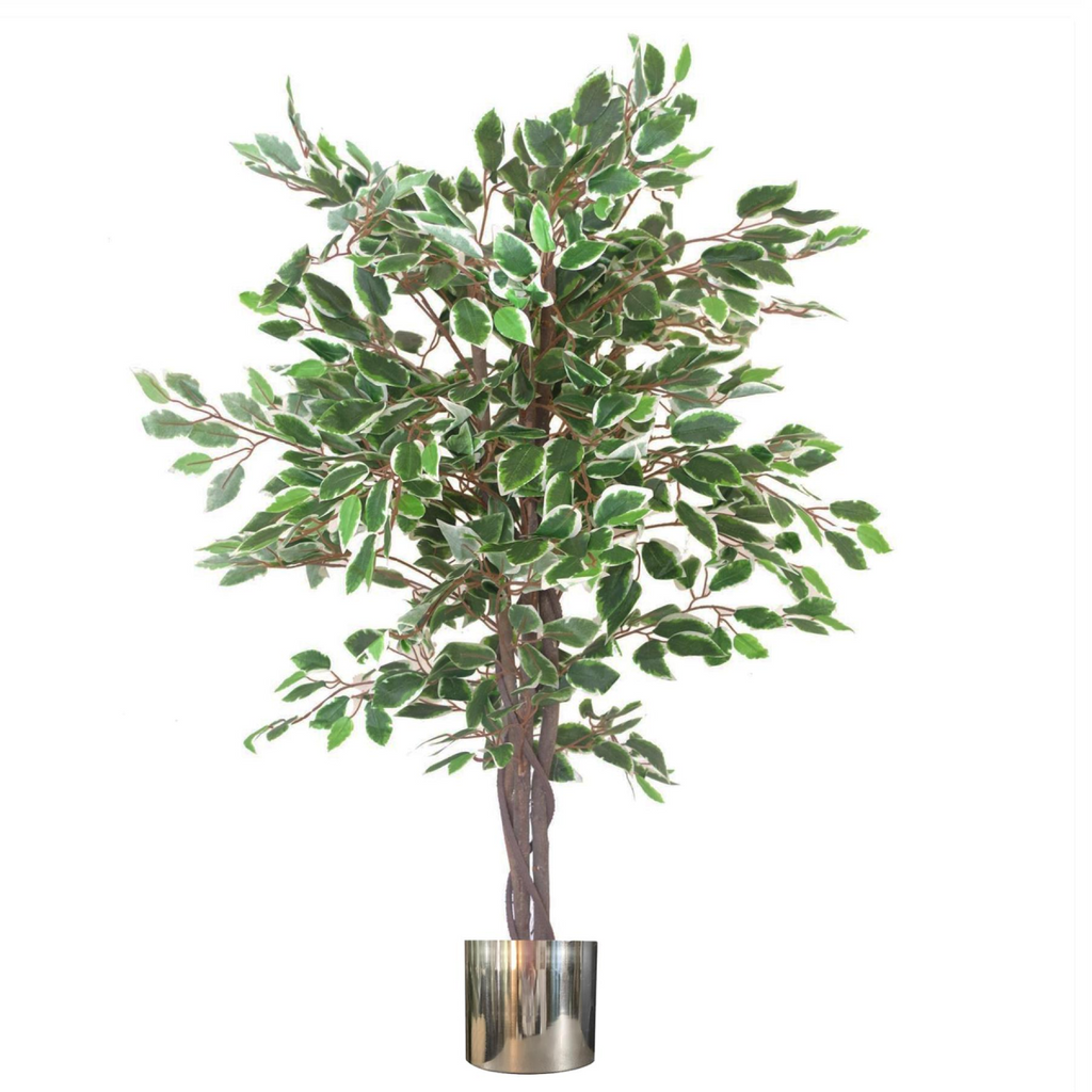 130cm Large Realistic White Edge Ficus Artificial Plant Tree with Silver Metal Planter