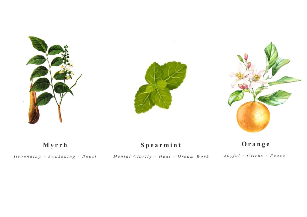 Mala Luna Bracelet and Sage Gift Box