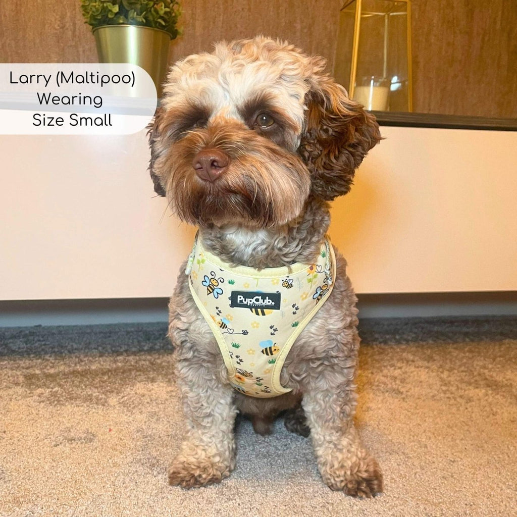 Bee-utiful Summer Adjustable Dog Harness