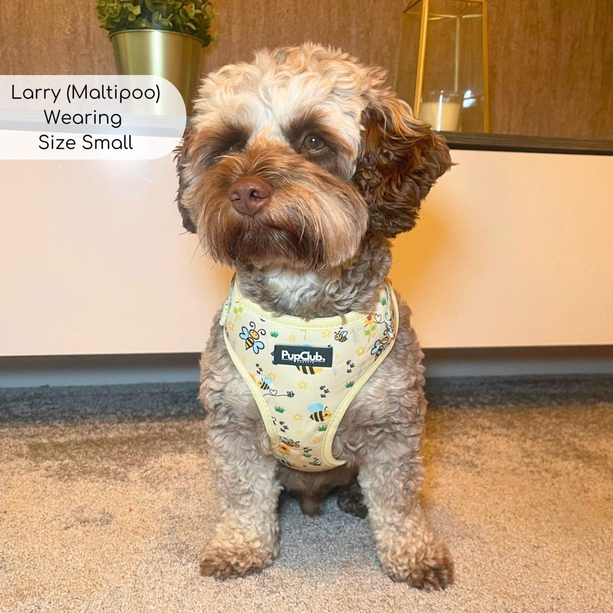 Bee-utiful Summer Adjustable Dog Harness