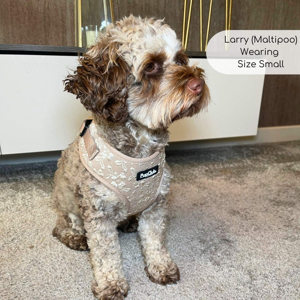 Toffee Latte Petals Adjustable Dog Harness