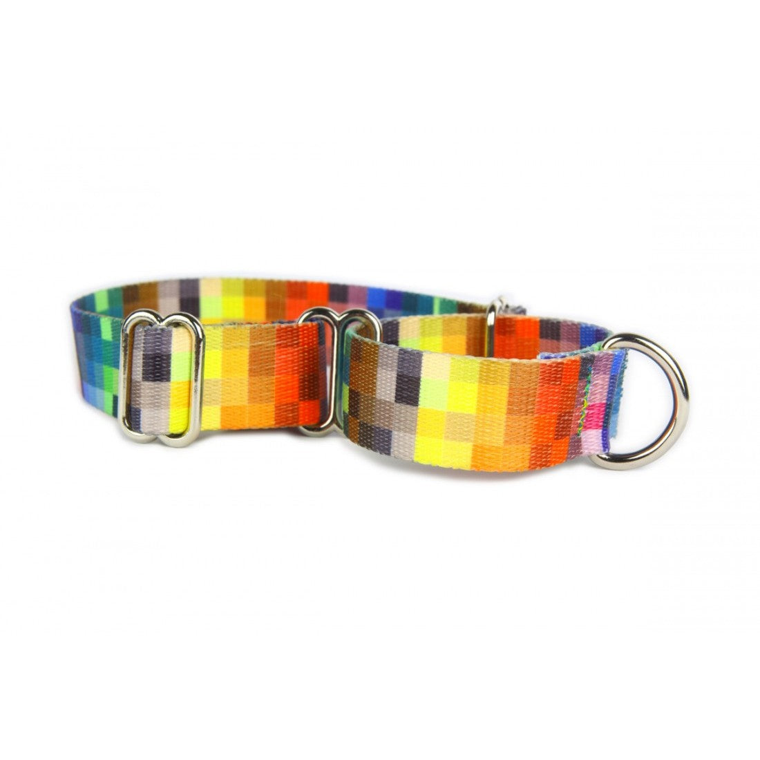playful dog modeling a vibrant pixel-pattern martingale collar in a sunlit park