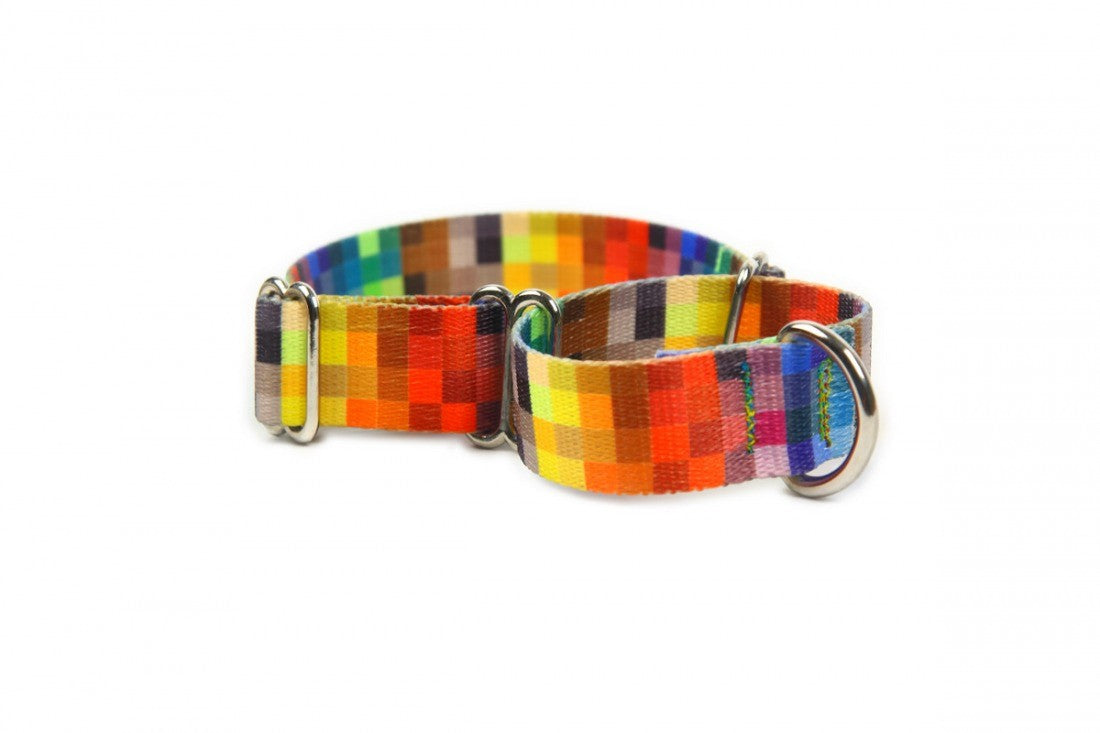 a soft martingale dog collar with a gentle, comforting fit for secure walks