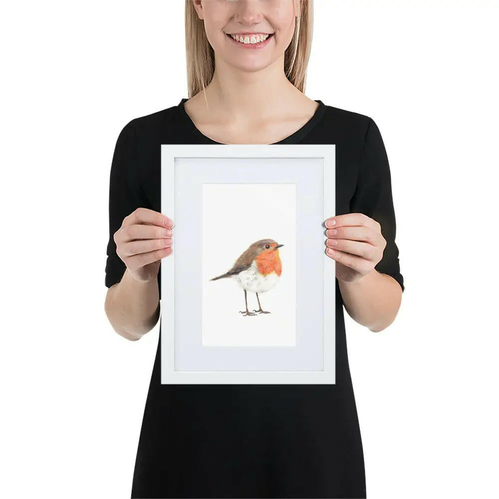 Robin Framed Print with Mat A4 Wildlife Wall Art