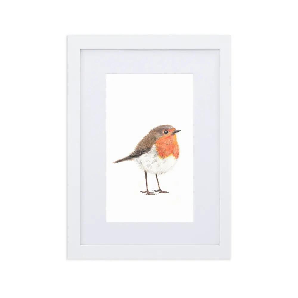 Robin Framed Print with Mat A4 Wildlife Wall Art