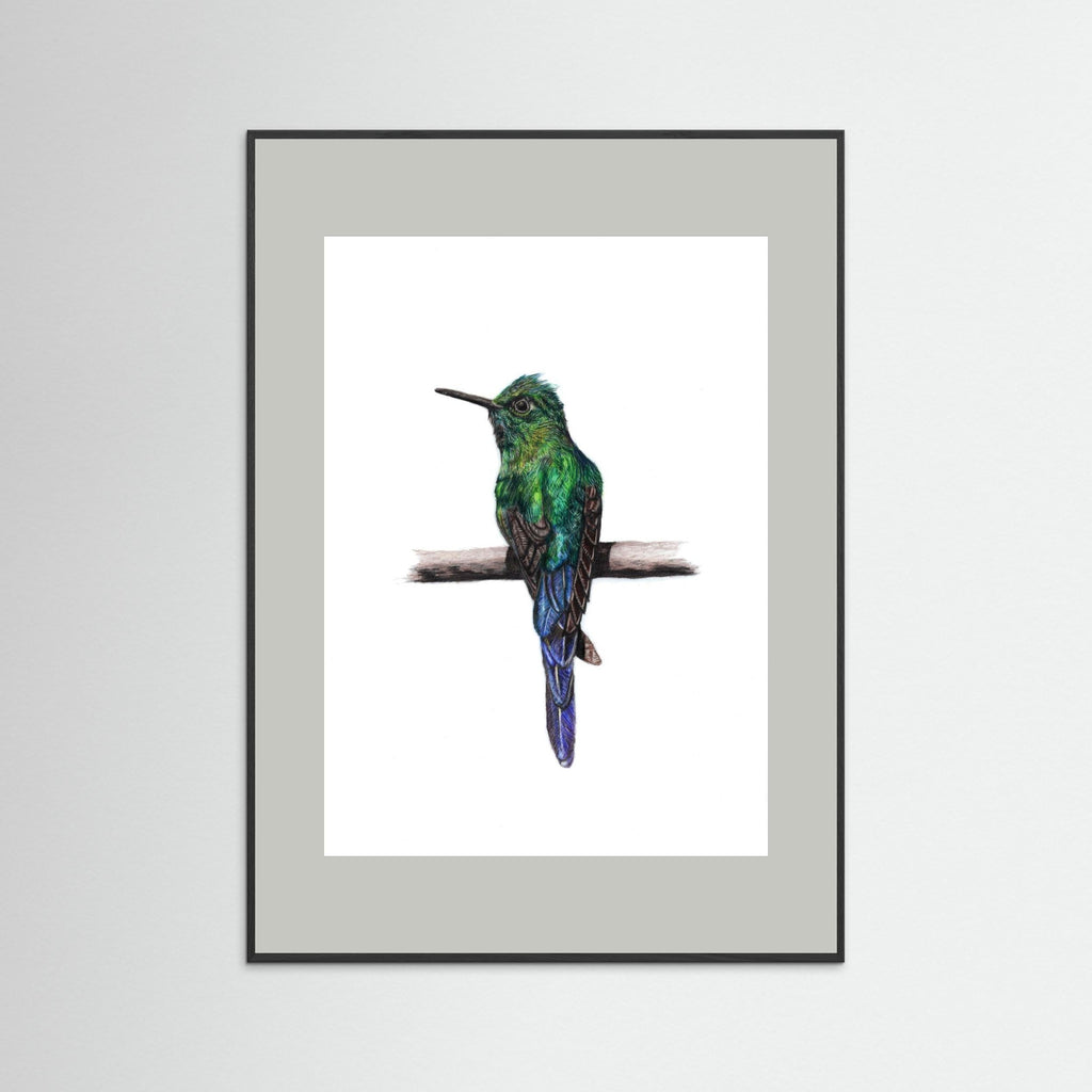 Hummingbird Art Print Wildlife Wall Art for Nature Lovers