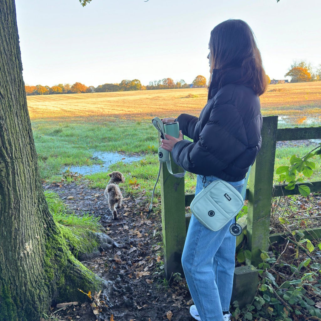 Mini Dog Walking Bag in Sage Green