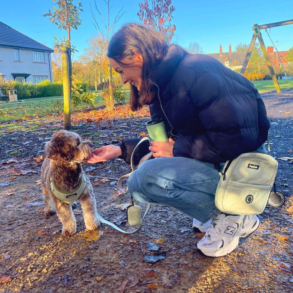 Mini Dog Walking Bag in Sage Green