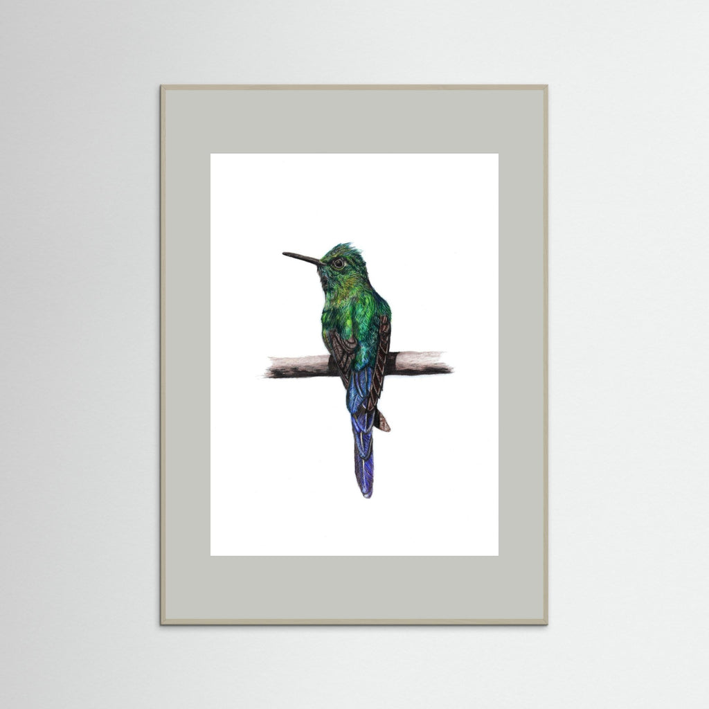 Hummingbird Art Print Wildlife Wall Art for Nature Lovers
