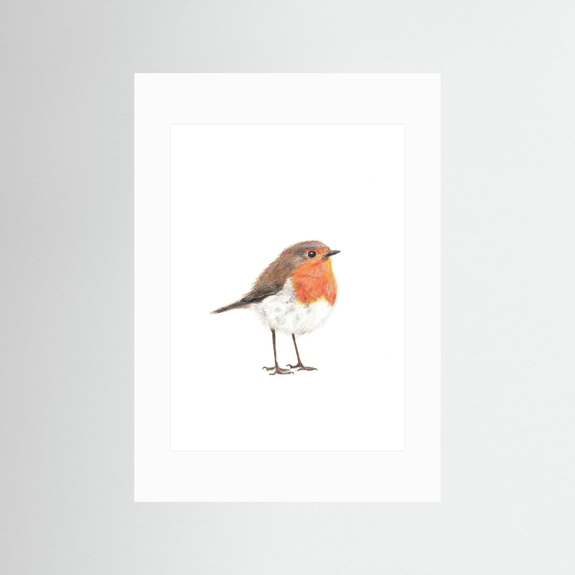Robin Art Print Wildlife Wall Art for Nature Lovers