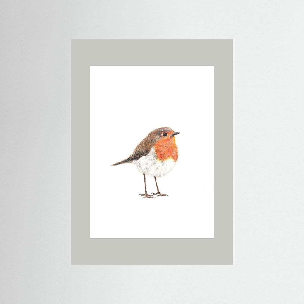 Robin Art Print Wildlife Wall Art for Nature Lovers