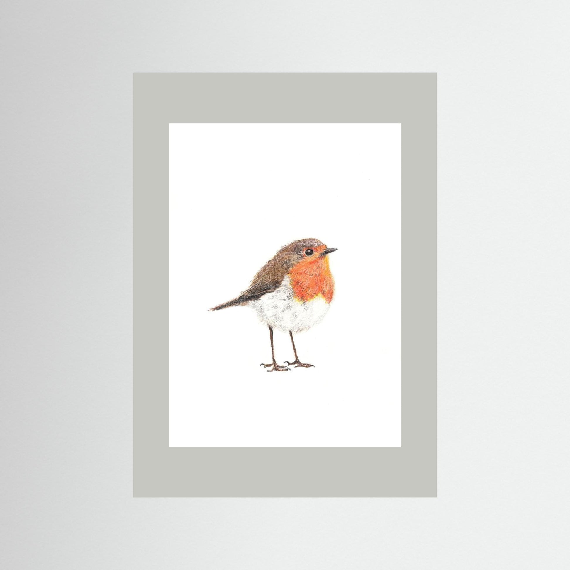 Robin Art Print Wildlife Wall Art for Nature Lovers