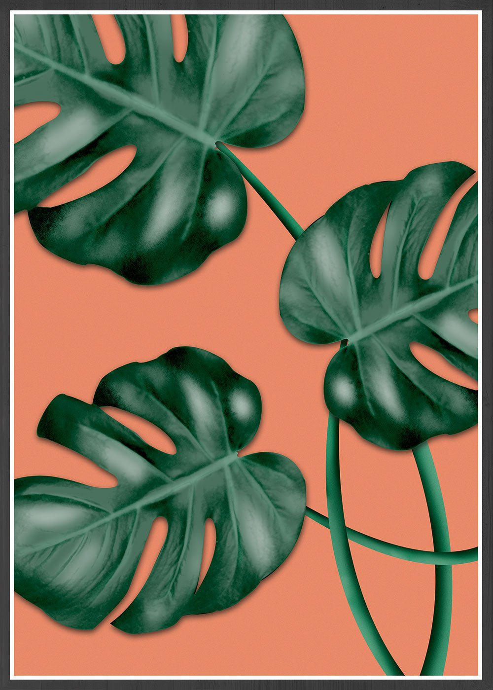 Monstera Orange Botanical Illustration Print