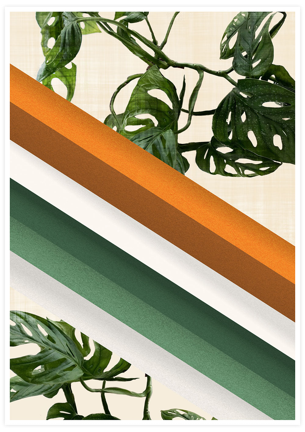Monstera Ramp Retro Wall Art Print