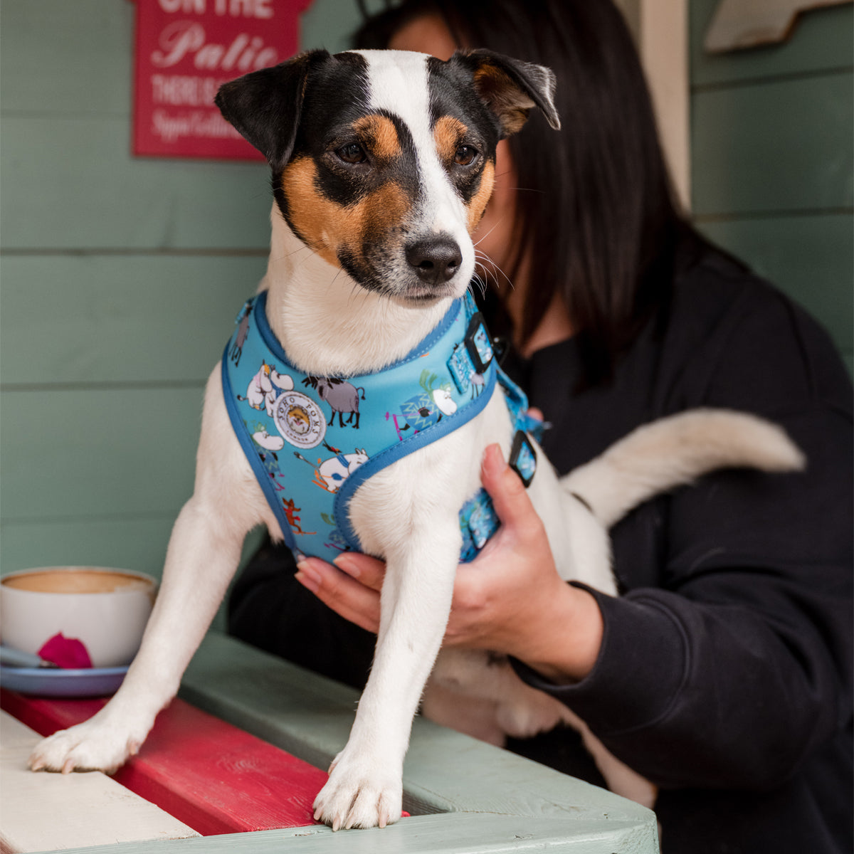 Blue Holiday Moomins Padded Dog Harness