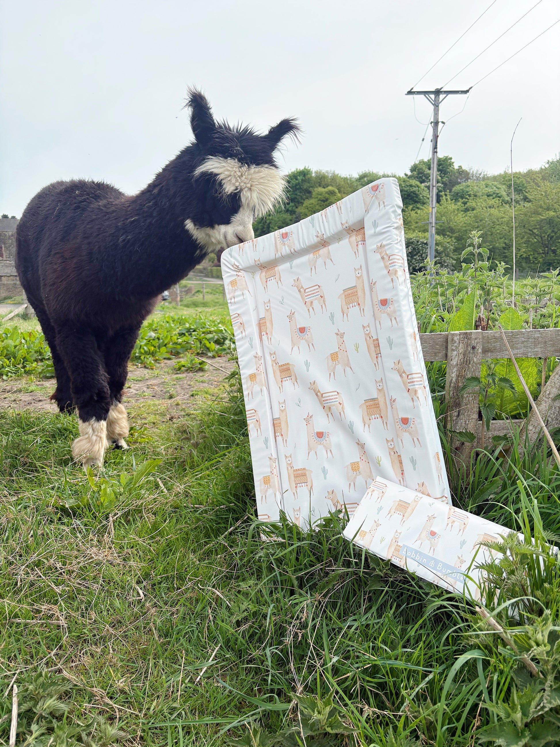 Standard Changing Mat - Alpacas