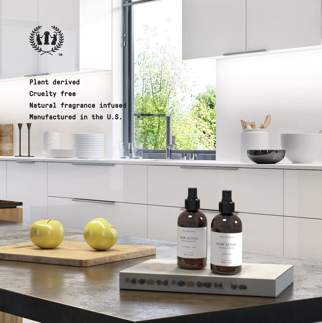 Room Ritual Aromatic Mist 4 oz Aloe Eucalyptus Lavender 2 Pack