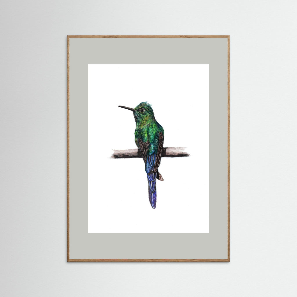 Hummingbird Art Print Wildlife Wall Art for Nature Lovers