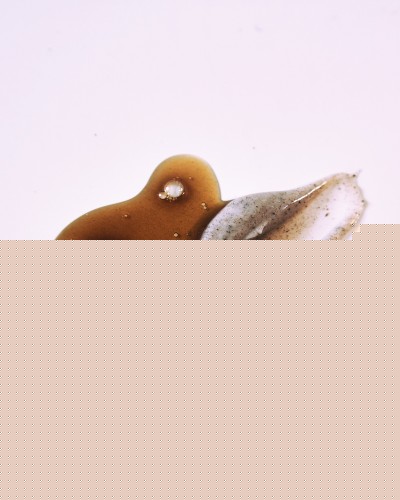 practical gift set showing peat shampoo and conditioner bottles for sensitive scalp care