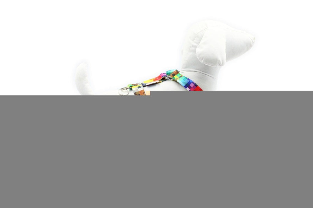 functional close-up of the durable nylon harness with its quick-release buckle and secure stitching