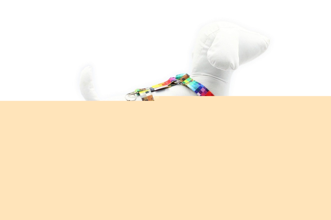 functional close-up of the durable nylon harness with its quick-release buckle and secure stitching