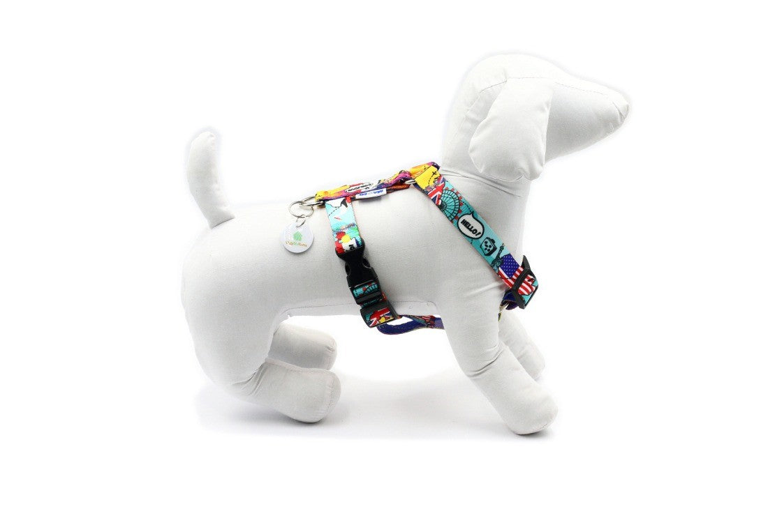 playful dog wearing a blue nylon travel harness with a shiny metal handle