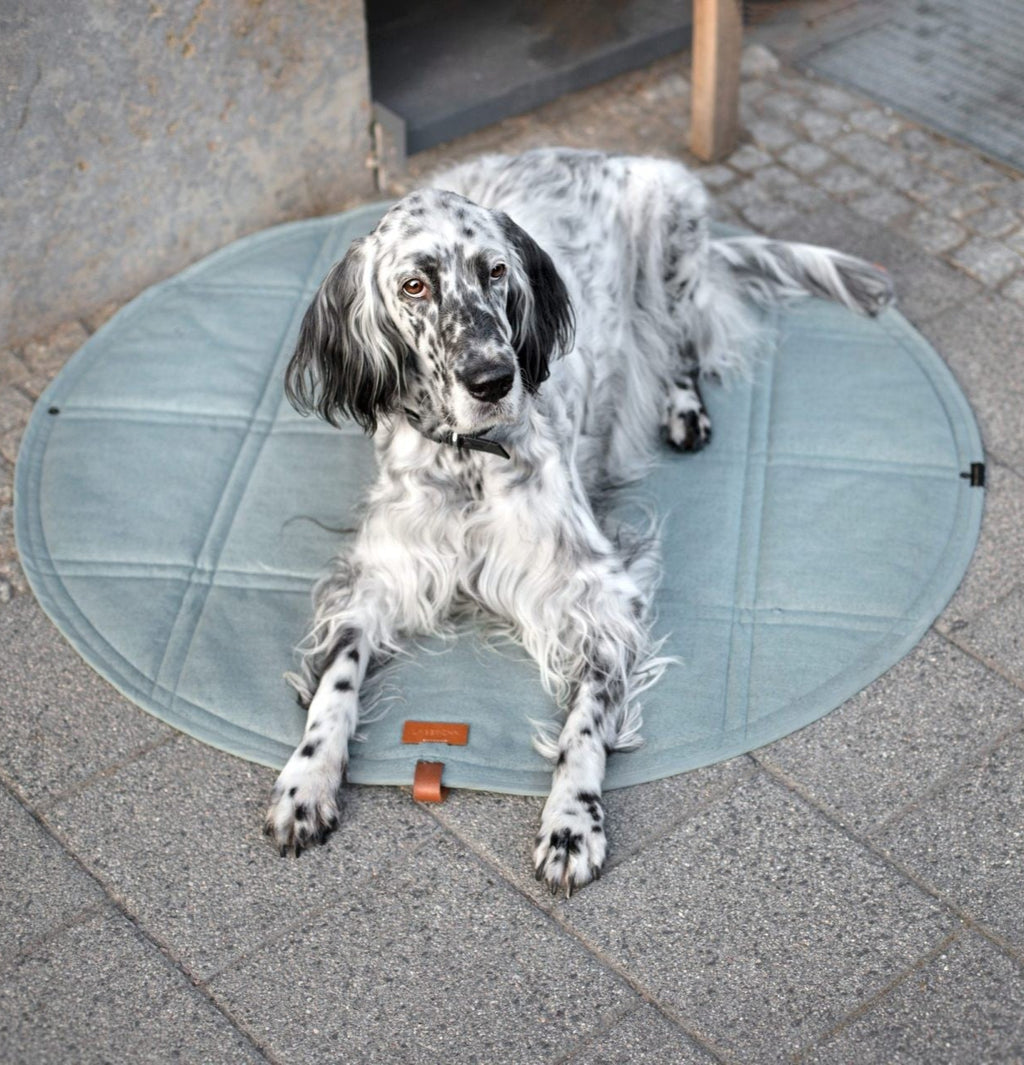 bold soft teal okka travel mat for dogs unfolded on a sunlit path