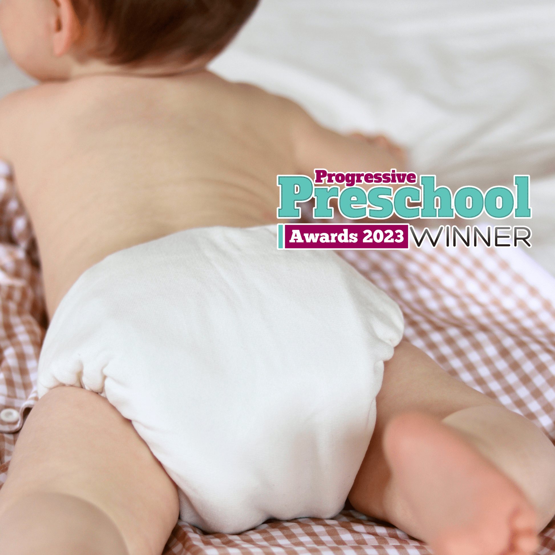 One Size Bamboo Cotton Bedtime Pearl Reusable Cloth Nappy