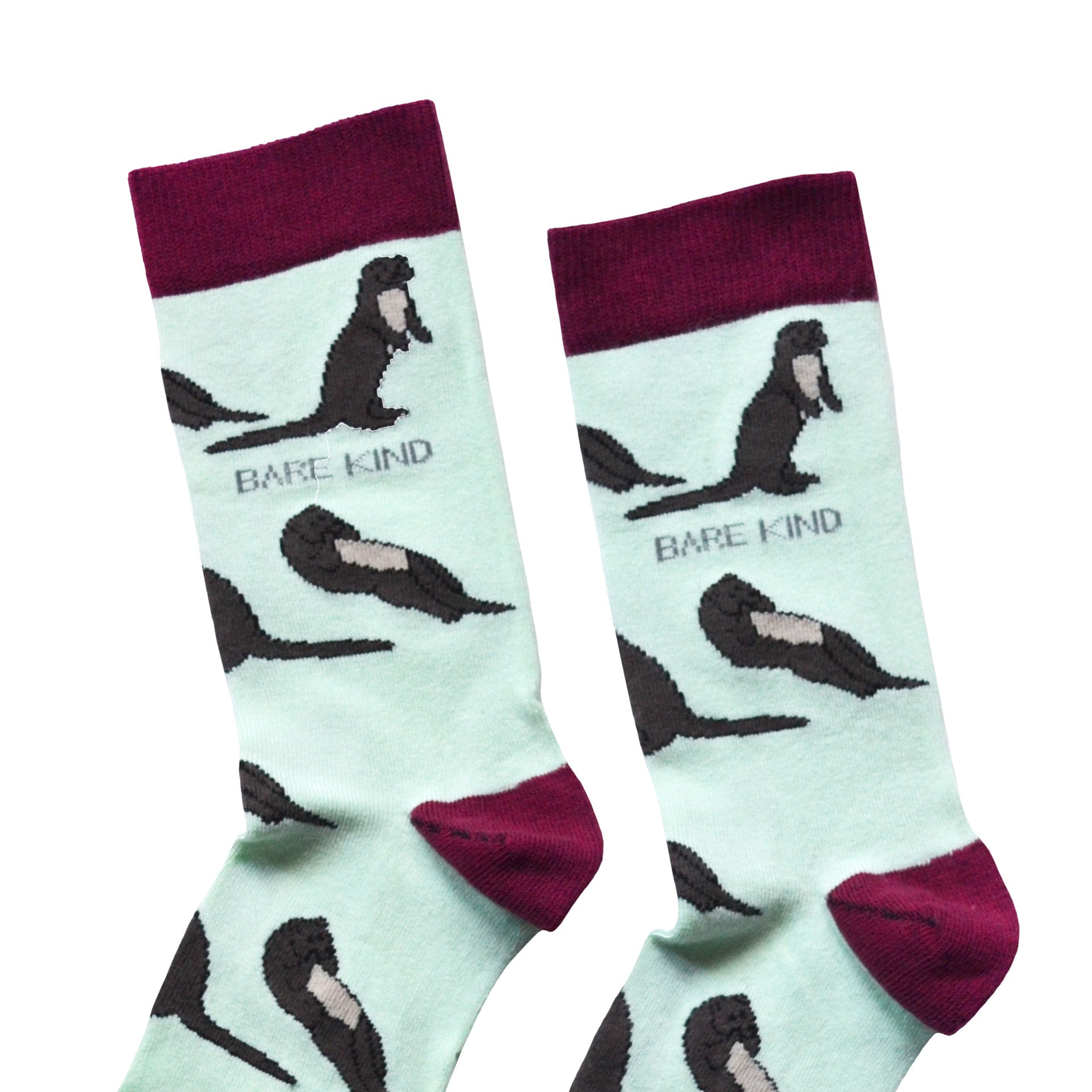 Save the Otters Bamboo Socks in Blue